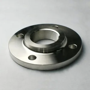 Stainless Flanges Component
